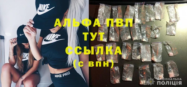 ПСИЛОЦИБИНОВЫЕ ГРИБЫ Осташков
