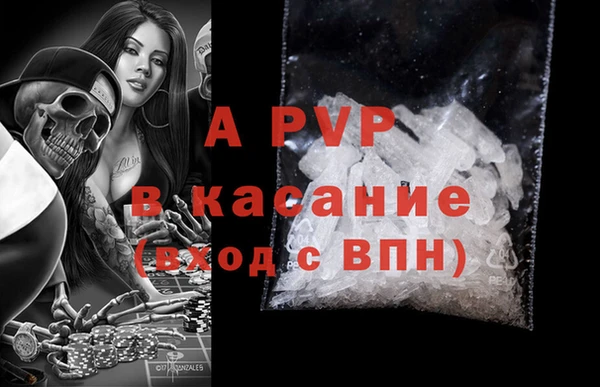 ПСИЛОЦИБИНОВЫЕ ГРИБЫ Осташков