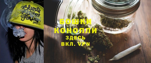 ПСИЛОЦИБИНОВЫЕ ГРИБЫ Осташков