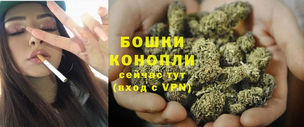 ПСИЛОЦИБИНОВЫЕ ГРИБЫ Осташков