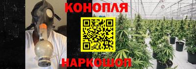 шишки Заводоуковск