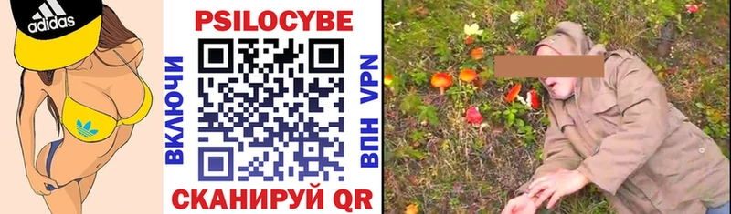Псилоцибиновые грибы Psilocybe  МЕГА рабочий сайт  Кузнецк  магазин  наркотиков 