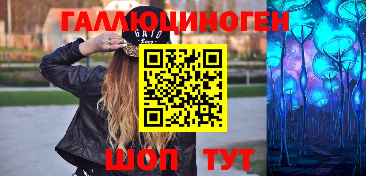 Псилоцибиновые грибы Psilocybe Кузнецк