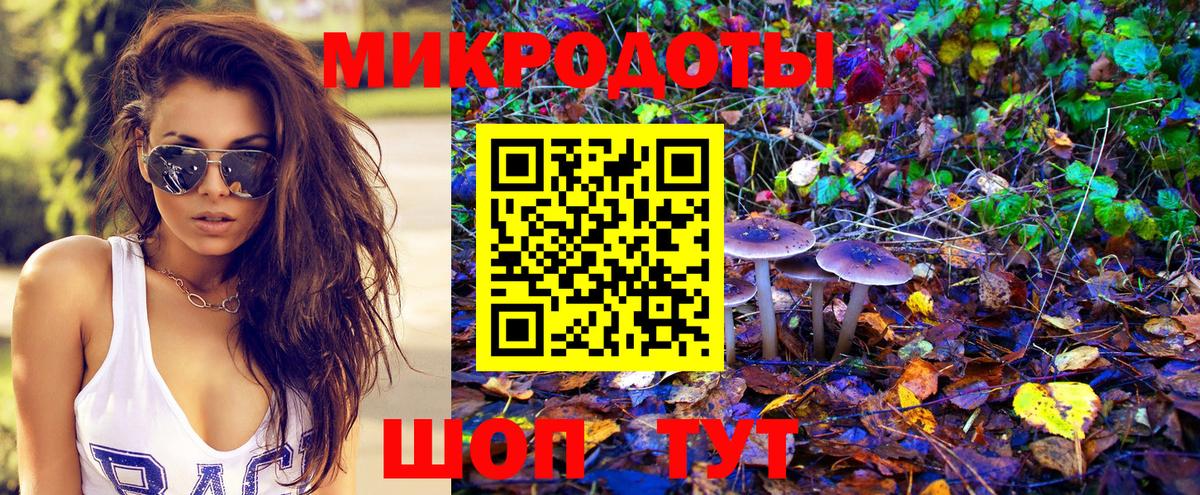 Кузнецк  хочу наркоту  Вход с VPN  Псилоцибиновые грибы Psilocybine cubensis 
